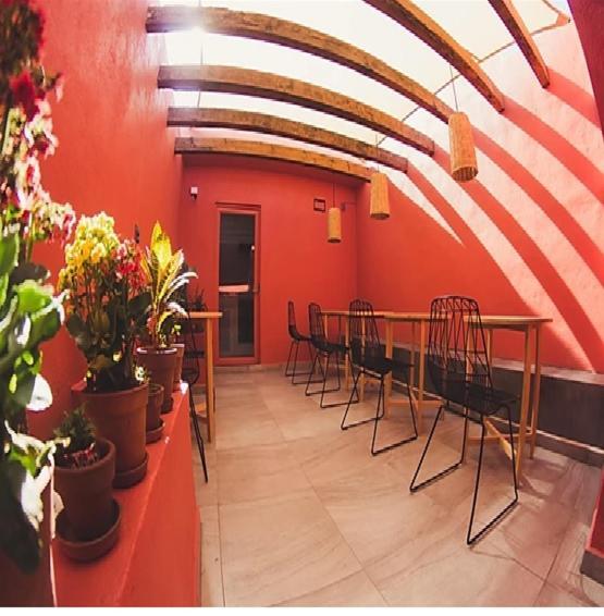 Hotel Lu de Anda à San Luis Potosí Extérieur photo